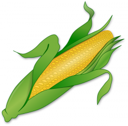 Free Sweet Corn Clipart - Clipart Picture 1 of 14