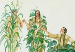 The Three Sisters – Corn, Beans and Squash | Country & Victorian Times