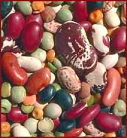 Free Dried Beans Clipart, 1 page of Public Domain Clip Art