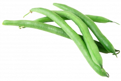 Green Beans PNG Image - PurePNG | Free transparent CC0 PNG Image Library