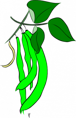 Green French Bean Clip Art at Clker.com - vector clip art online ...