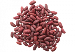 Kidney Beans PNG Clipart | PNG Mart