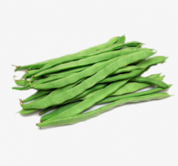 Fresh Long Beans, Imported Vegetables, Seasonal Vegetables PNG Image ...