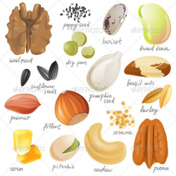 Seeds, Nuts and Beans | Pistachio plant, Ai illustrator and Vector ...