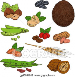 EPS Vector - Sketched nuts and beans, seeds and cereals symbols ...
