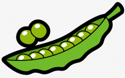 A Pea, Vector Diagram, Green Vegetables, Green Beans PNG and Vector ...
