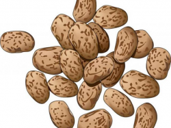 Angry Beans Cliparts Free Download Clip Art - carwad.net