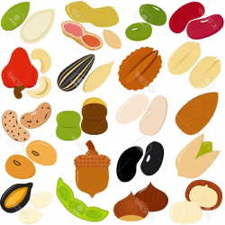 Top Pulse Clipart Kidney Bean Images