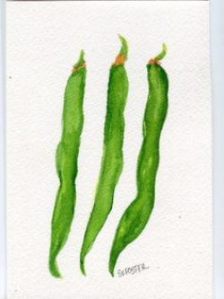 Original Green Beans watercolor painting, Vegetable Series 5 x 7 ...