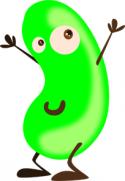 bean PNG images, icon, cliparts - Download Clip Art, PNG Icon Arts