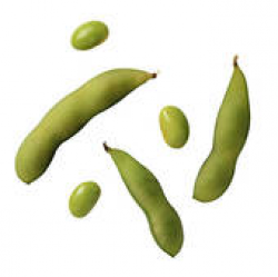 Soy Beans | Clipart Panda - Free Clipart Images