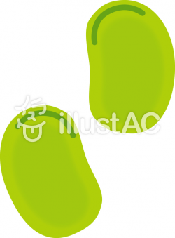 Free Cliparts : Broad beans, Fava beans - 179139 | illustAC