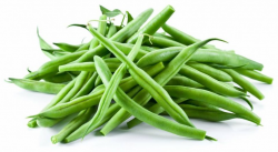 6 Incredible Health Benefits of Green Beans - Natural Health News