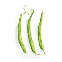 Watercolor Green Beans, Green Bean Clip Art, Bean Clipart, Veggie ...