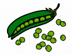Green Beans Food Clipart - Peas Clipart Free PNG Images ...