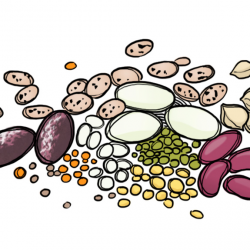 What Are Legumes & Should You Avoid Them? | Paleo Grubs
