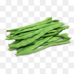 Long Beans PNG Images | Vectors and PSD Files | Free Download on Pngtree