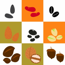 Bean and nuts background various types isolation Free vector in ...