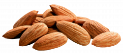 Free clipart almonds - Clipart Collection | Vector almond almond ...