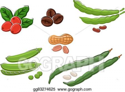 Vector Illustration - Assorted fresh cartoon legumes and nuts. Stock ...