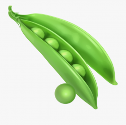 Peas Png Clipart - Peas Clipart #168184 - Free Cliparts on ...
