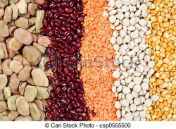 Bean clipart pulse - Pencil and in color bean clipart pulse
