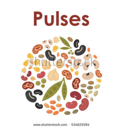 Beans clipart pulse - Pencil and in color beans clipart pulse