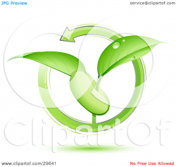 Lima Beans clipart - PinArt | Fresh lima beans isolated on, fresh ...