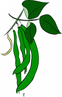 Green Beans Clip Art at Clker.com - vector clip art online, royalty ...