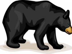 Mar 26 | Black Bears in Granby | Granby-East Granby, CT Patch