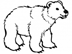 Revealing Polar Bear Pictures To Color Fabulou #13203 - Unknown ...