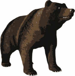 Clipart - Brown bear