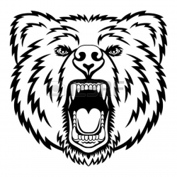 Bear Line Drawing Grizzly Bear Head Drawing Grizzly Bear Clipart ...