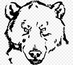 American black bear Drawing Clip art - bear png download - 800*800 ...