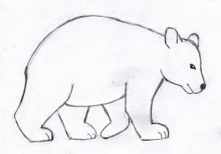 Bear drawing step by step | Simple Fun with Kids | Pinterest | Bear ...