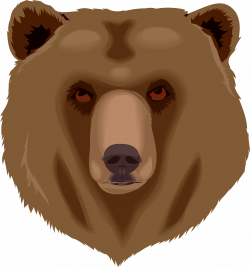 Architetto orso 16 Grizzly Bear Icons PNG - Free PNG and Icons Downloads