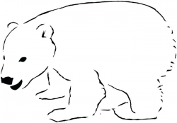 Polar Bear Outline Polar Bear Clipart Outline Clipground Download ...
