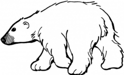 Polar Bear clipart printable #3 | Drawing Ideas! | Pinterest | Polar ...