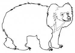 Sloth Bear coloring page | Free Printable Coloring Pages