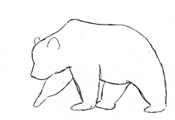 OUTline drawings of BEAR | How To Draw A Bear ~ Draw Central ...