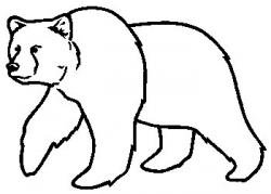 Spirit Bear Drawing at GetDrawings.com | Free for personal use ...