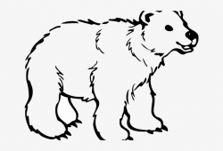 Mammal Clipart Spirit Bear - Free Clipart Black And White ...