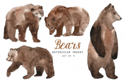 Watercolor bears ~ Illustrations ~ Creative Market