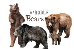 Watercolor Bears, Bear Clip Art, Forest Clipart, Bears Clipart ...