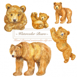 Watercolor Forest Brown Bears Clipart Woodland Animal clip