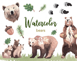 WATERCOLOR CLIPART, bear clipart, watercolour clipart set ...