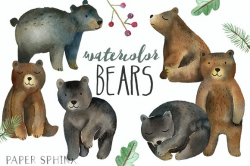 Watercolor Bears Clipart ~ Illustrations ~ Creative Market