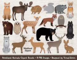 Woodland Animals Clipart Bundle Forest Animal Graphics Woodland ...