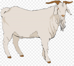 Boer goat Angora goat Pygmy goat Black Bengal goat Clip art - Show ...