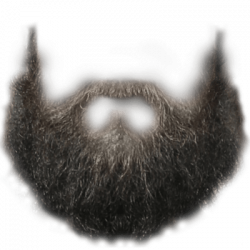 Long Beard transparent PNG - StickPNG